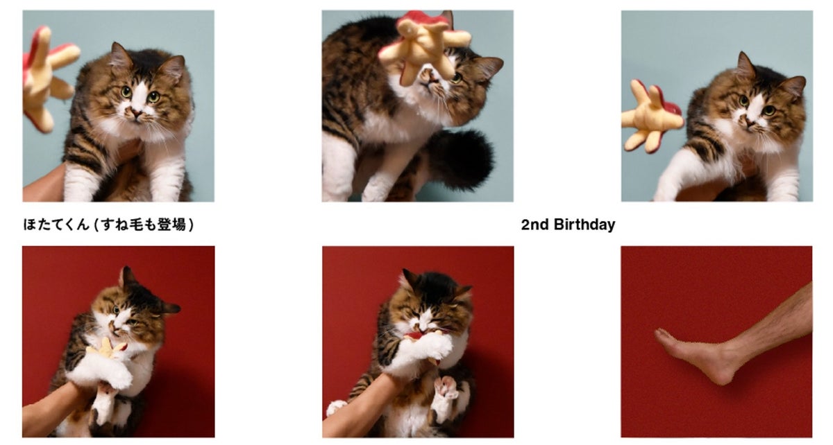 Hotate-kun's 2nd birthday bromide